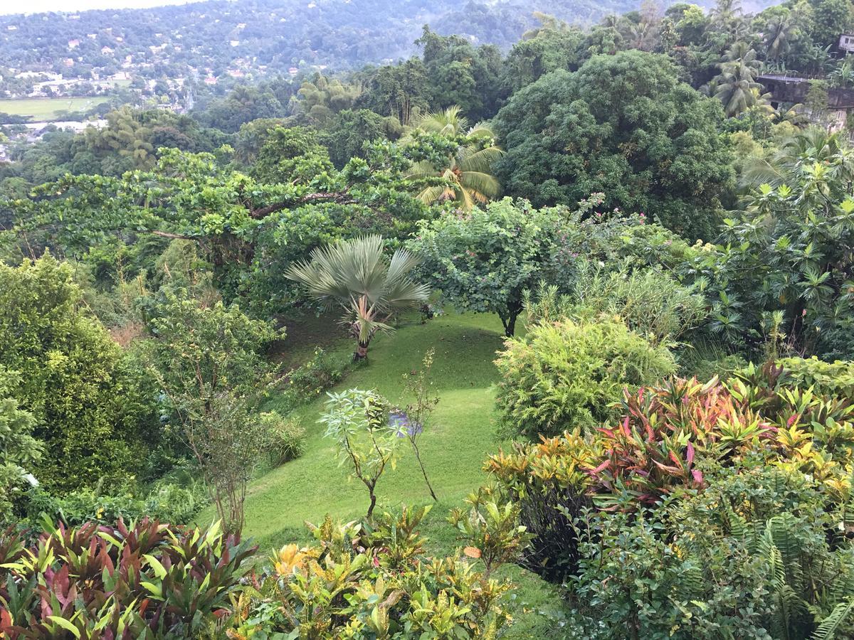 Treetops Villa 安东尼奥港 外观 照片