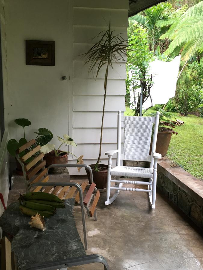 Treetops Villa 安东尼奥港 外观 照片
